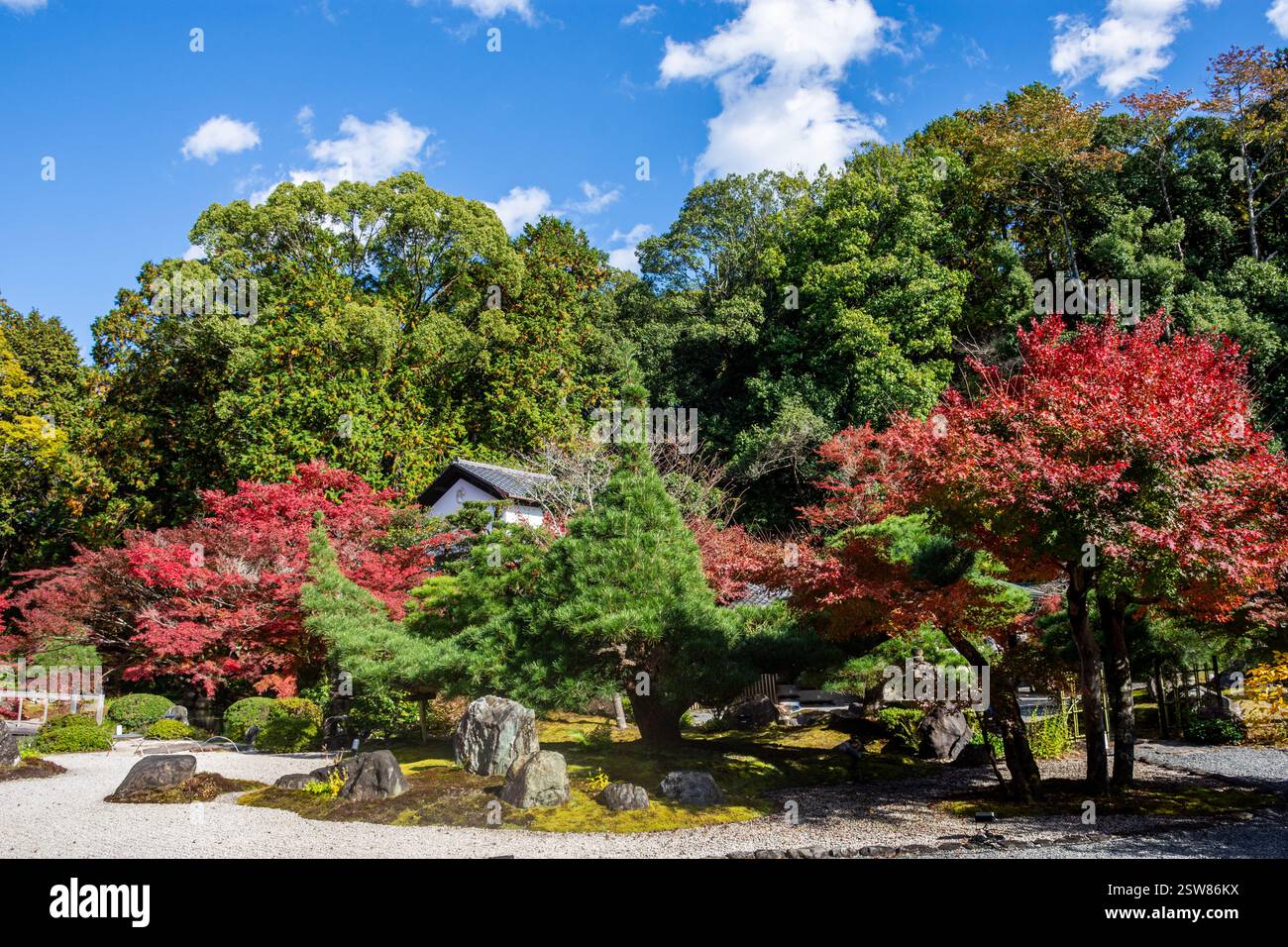 Konkai Komyouji Temple Gardens Kyoto Japan Stockfoto