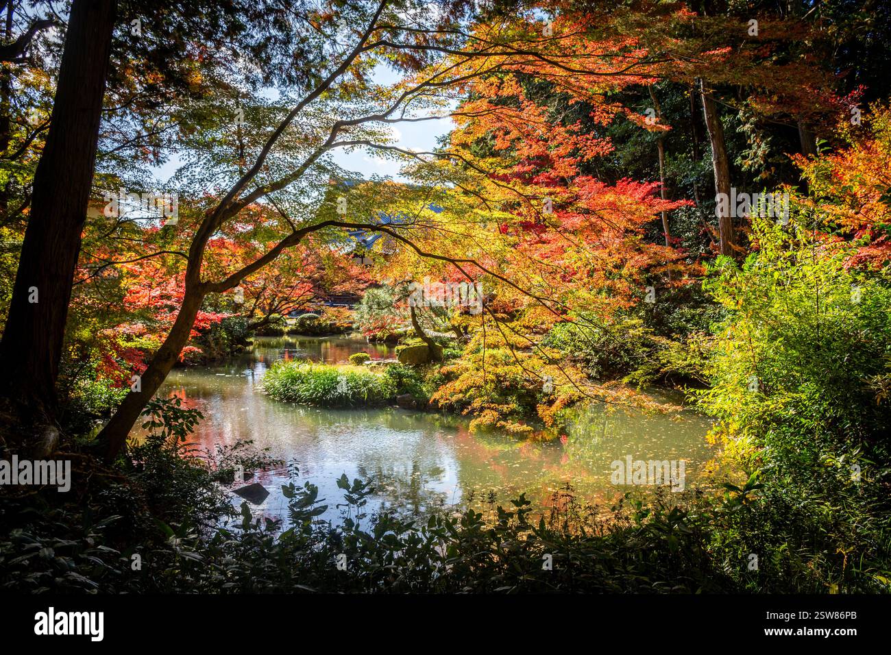 Konkai Komyouji Temple Gardens Kyoto Japan Stockfoto