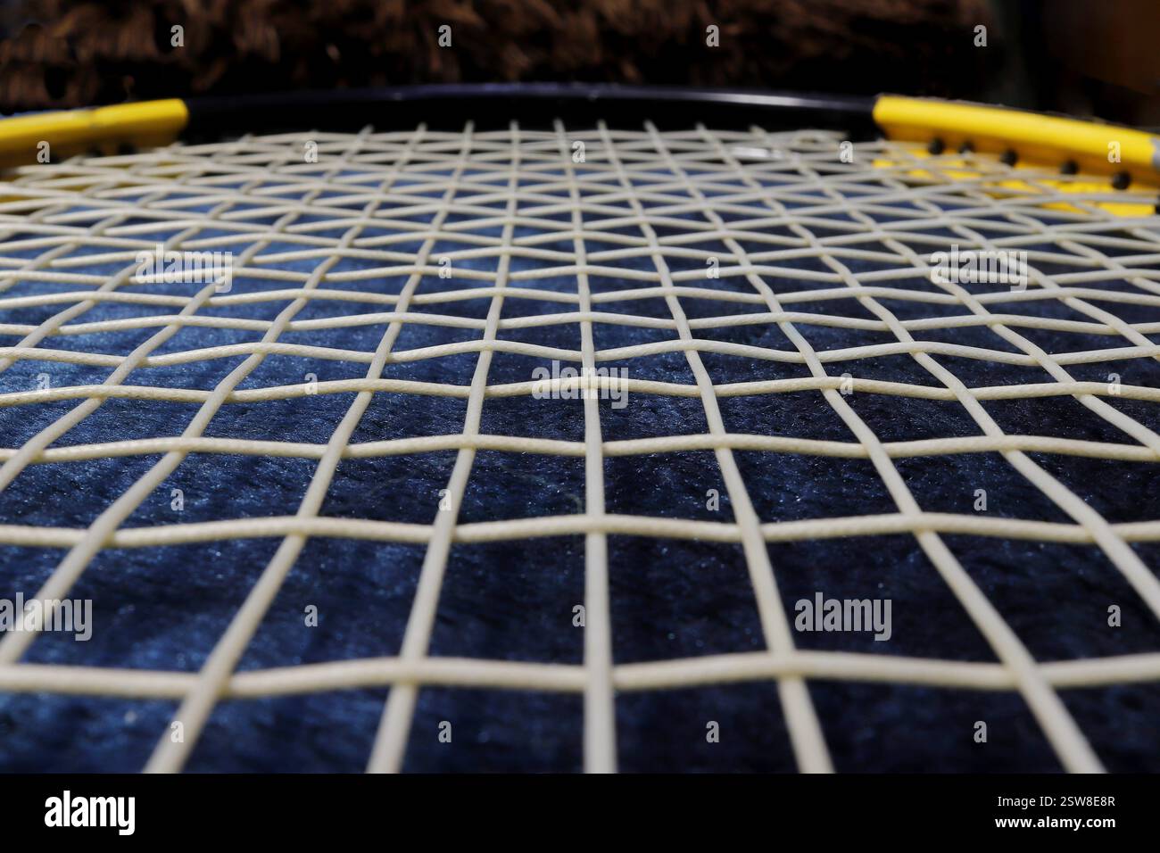 Nahaufnahme der Saiten eines Tennisschlägers für Tennis. Stockfoto