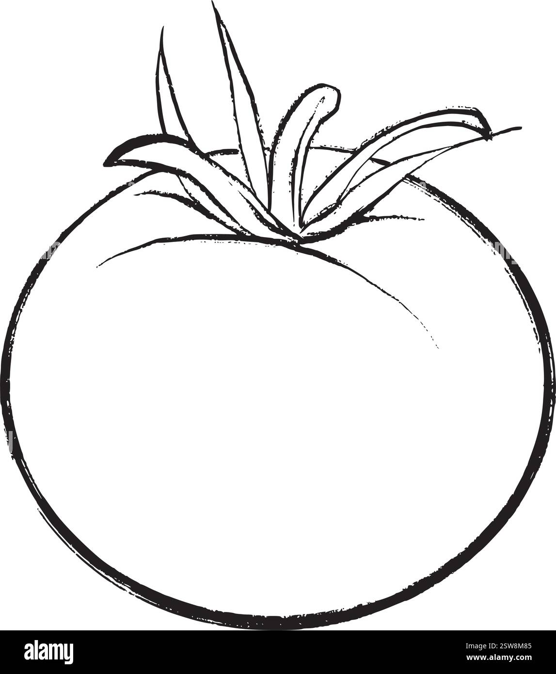 Vektorumrissdarstellung einer ganzen Tomate im Skizzenstil. Geeignet für Design-, Verpackungs-, Druck- und kulinarische Projekte. Stock Vektor