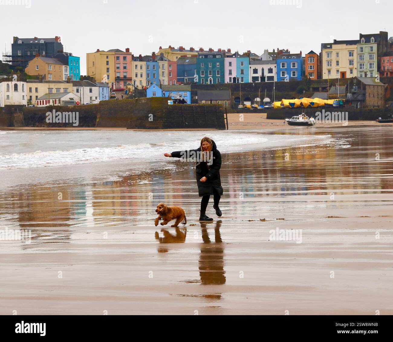 Tenby Pembrokeshire, Spaß am North Beach mit einem Hund farbenfrohe Gebäude am Meer. Februar 2025 Stockfoto