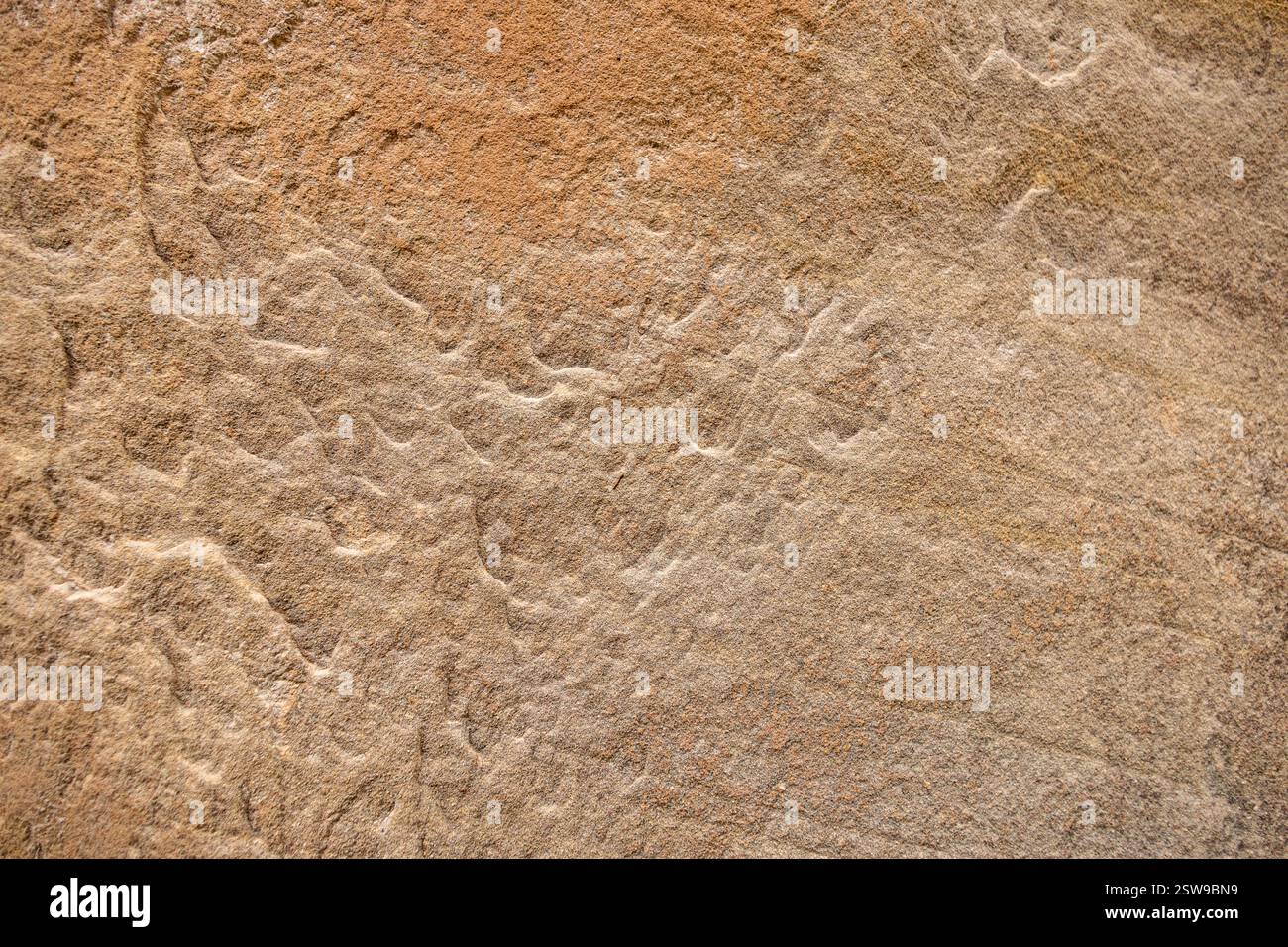 Texturen aus Sandstein für Hintergründe aus dem Capitol Reef National Park. Stockfoto