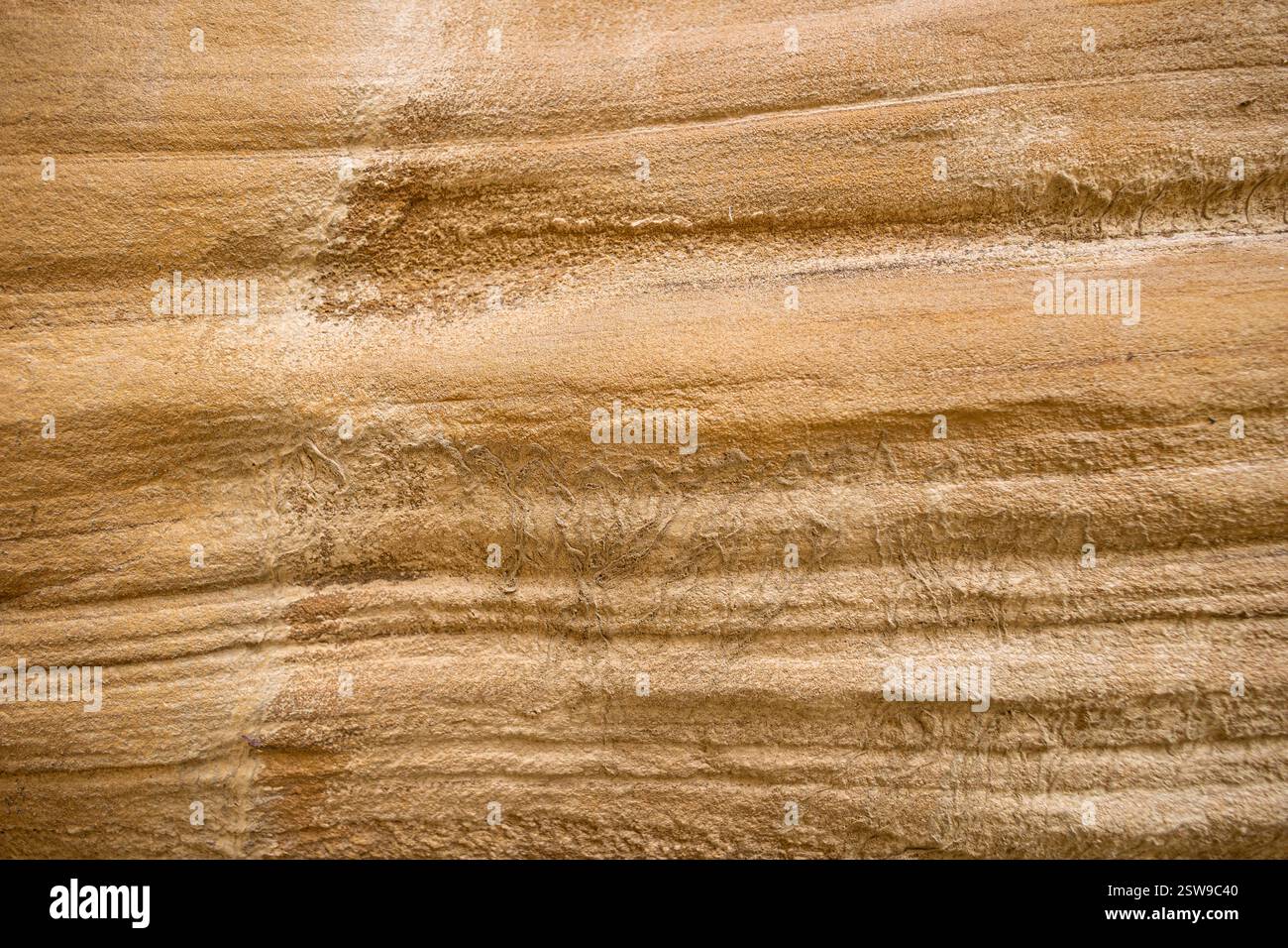 Texturen aus Sandstein für Hintergründe aus dem Capitol Reef National Park. Stockfoto