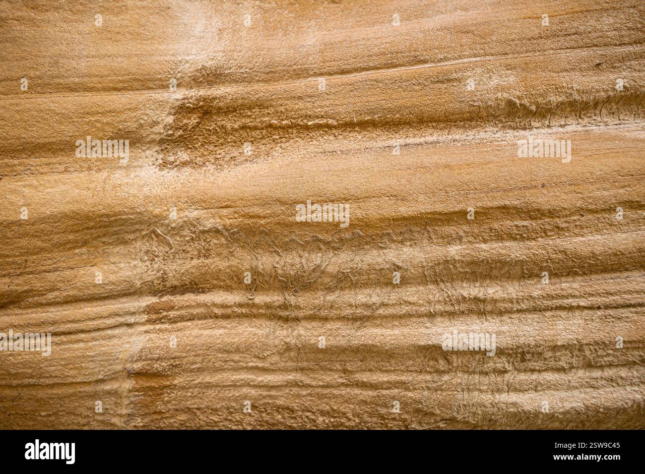 Texturen aus Sandstein für Hintergründe aus dem Capitol Reef National Park. Stockfoto