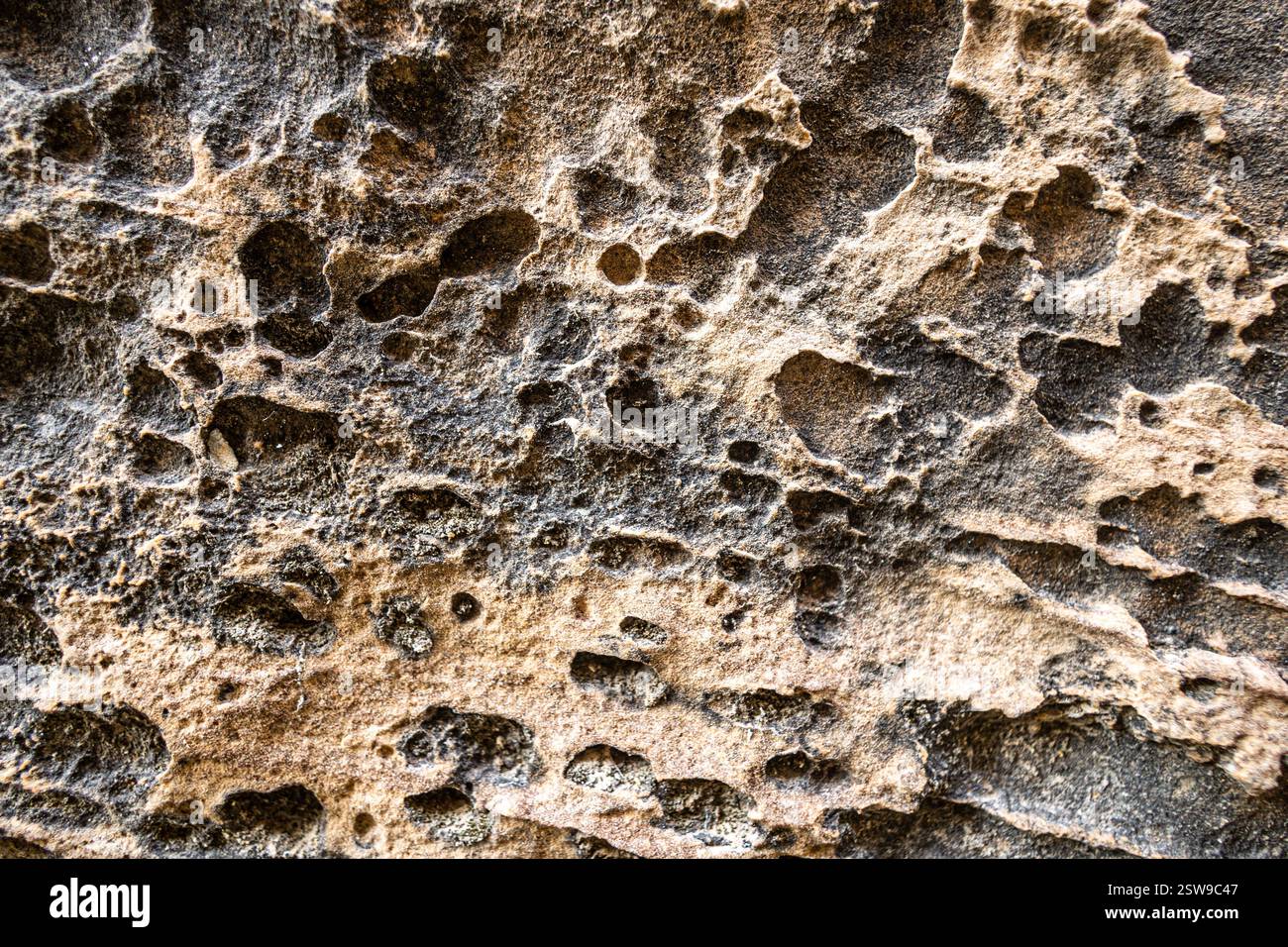 Texturen aus Sandstein für Hintergründe aus dem Capitol Reef National Park. Stockfoto