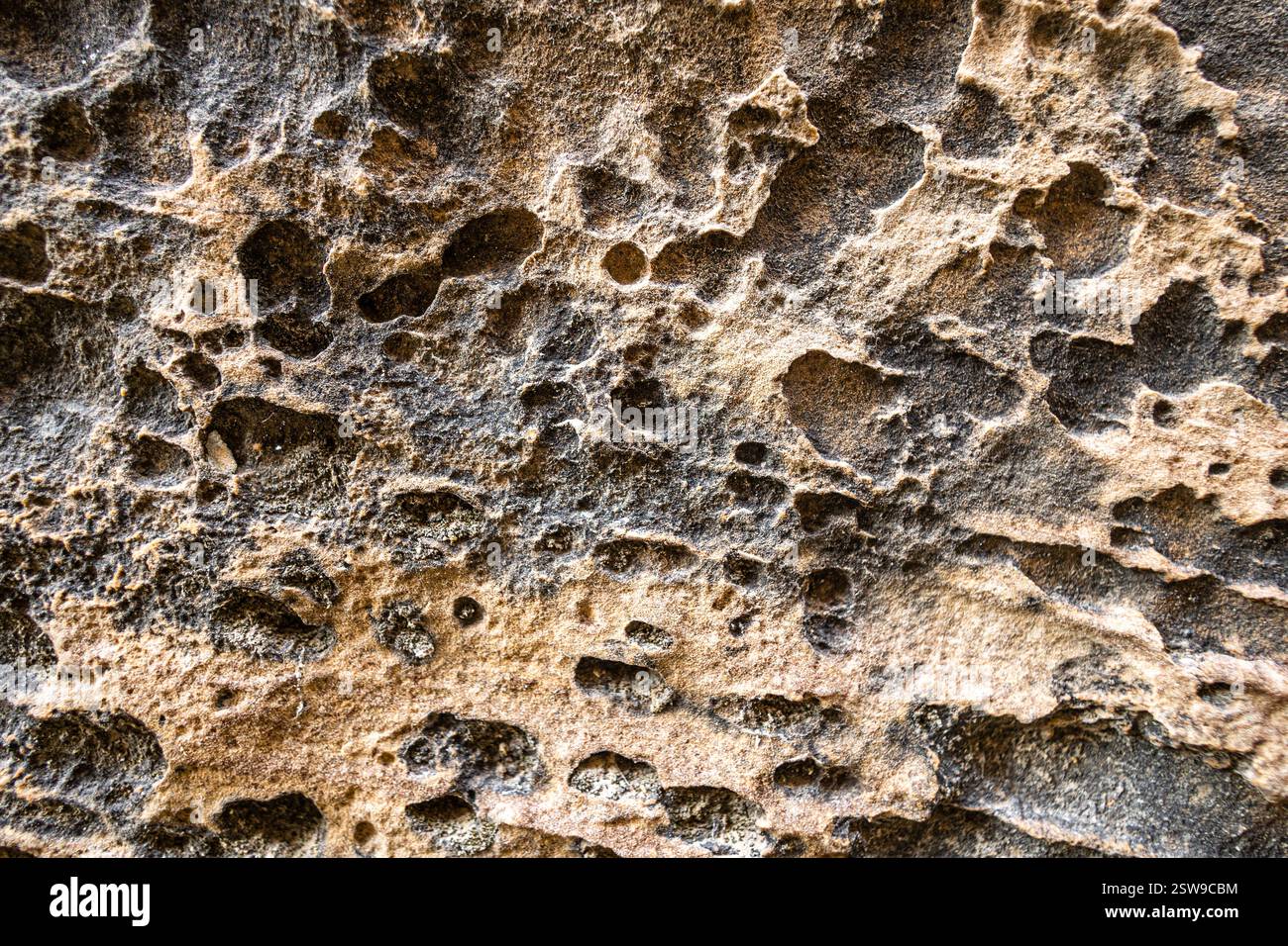 Texturen aus Sandstein für Hintergründe aus dem Capitol Reef National Park. Stockfoto
