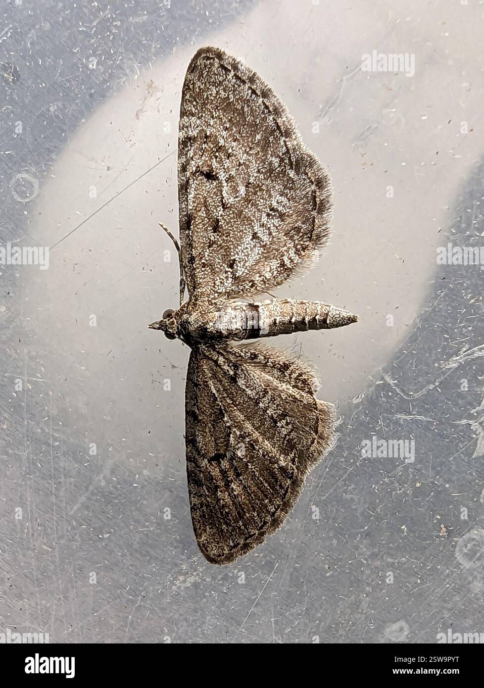 Lingwood und burlingham -Fotos und -Bildmaterial in hoher Auflösung – Alamy