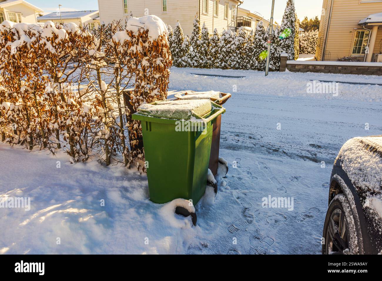Grüne und braune Mülltonnen, die mit Schnee bedeckt sind, stehen am Wintermorgen in der Nähe der Hecke in Wohngegend. Schweden. Stockfoto