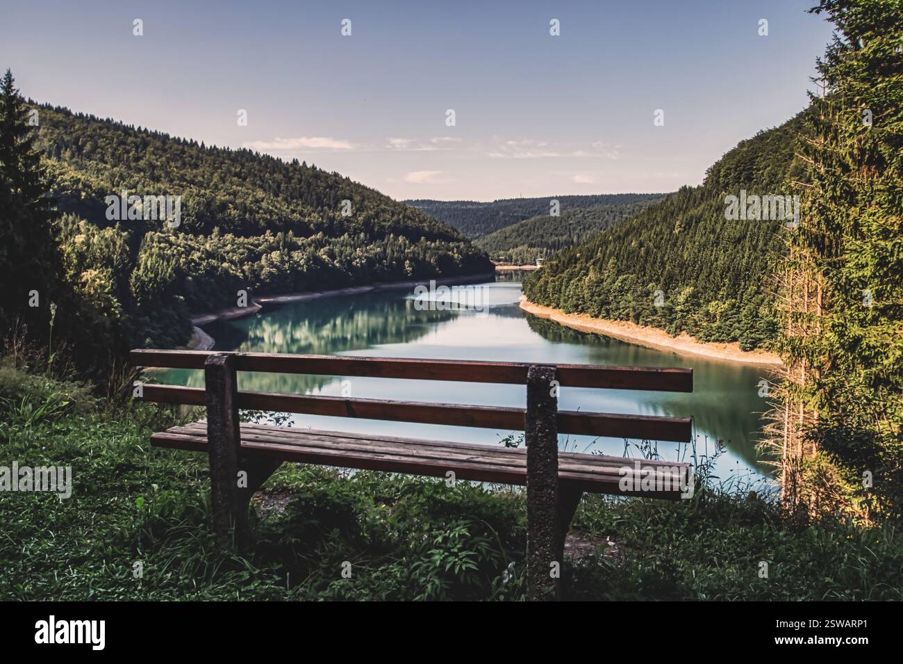 Bank am See, Berge und Wald Stockfoto