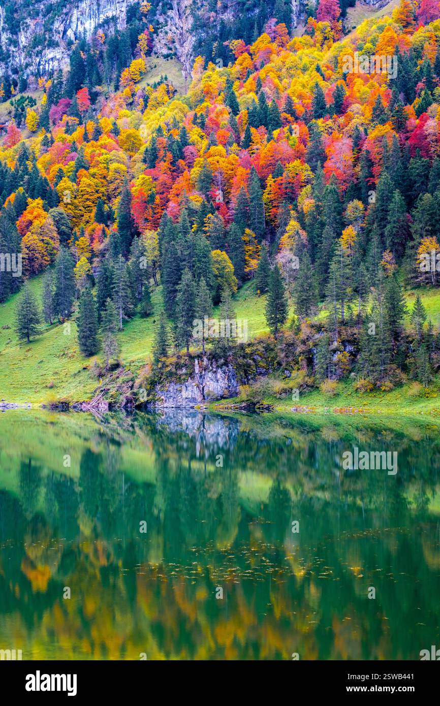 Herbstreflektionen am Falensee in Appenzell, Schweiz, mit lebhaftem Laub und ruhigem Wasser Stockfoto