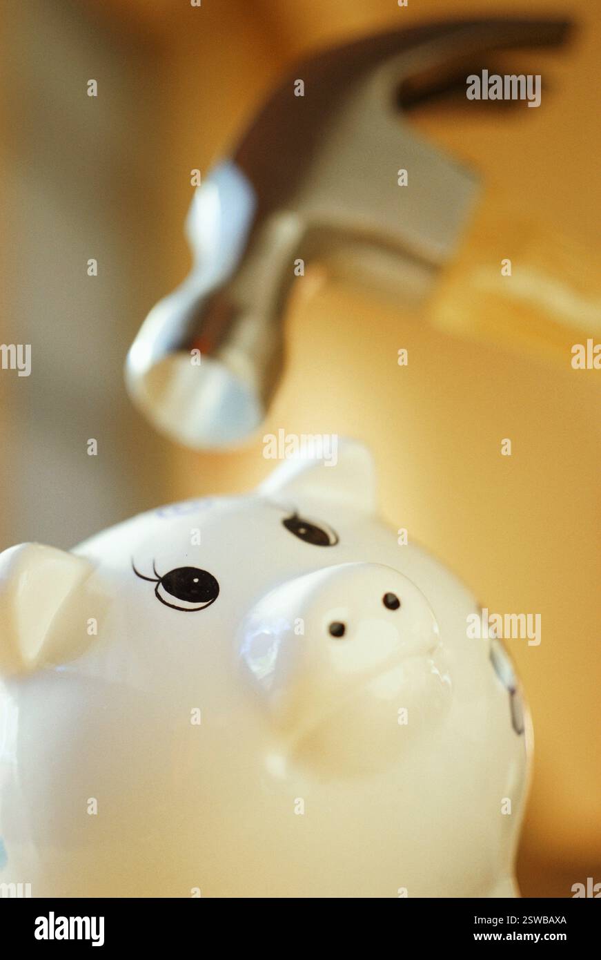 Die Schweinebank mit dem Hammer brechen Stockfoto