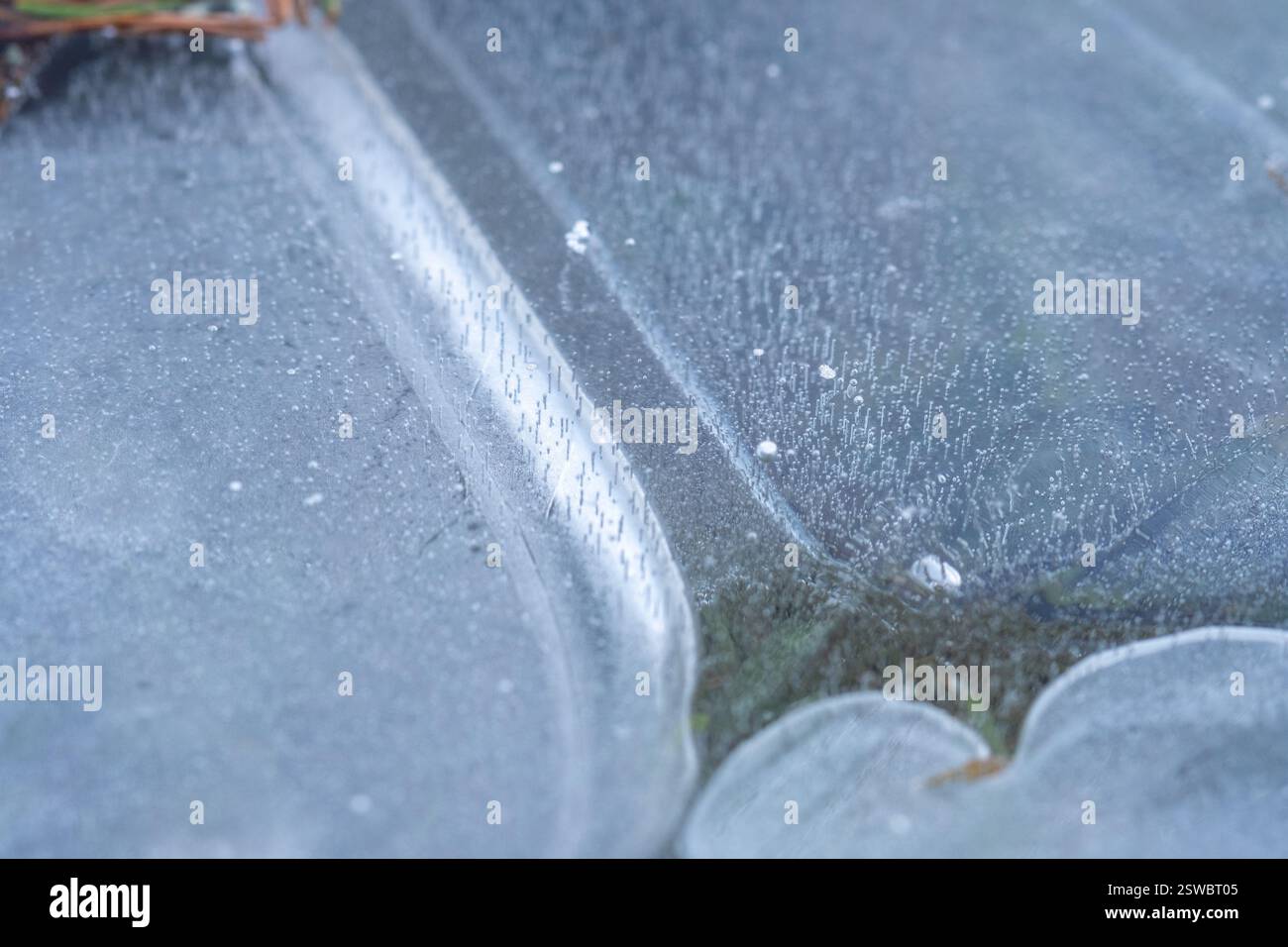 Komplizierte Muster aus Eiskristallen und Luftblasen, die auf einer Oberfläche gefroren sind die zarte Kunst der Natur im Winter Stockfoto