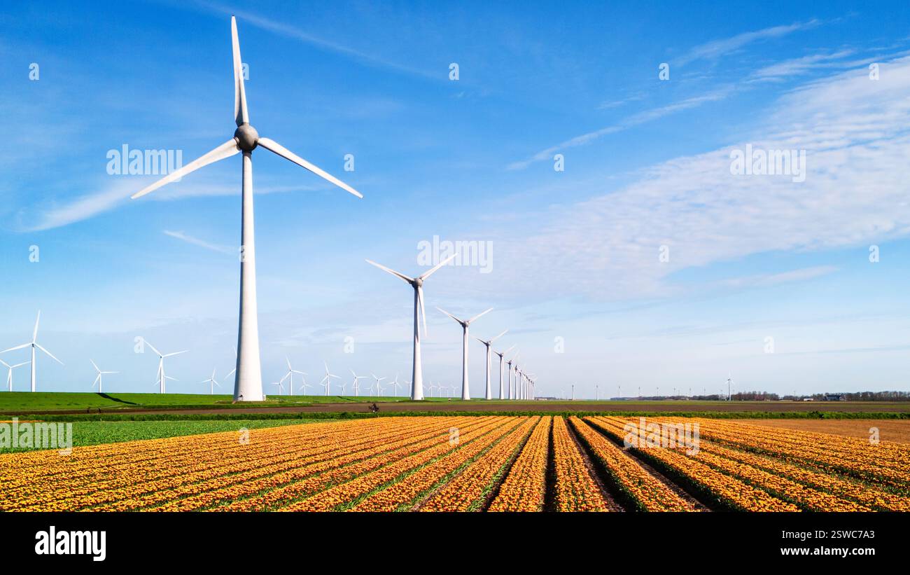 Eine malerische Szene mit einem pulsierenden Feld voller farbenfroher Strömungen Stockfoto
