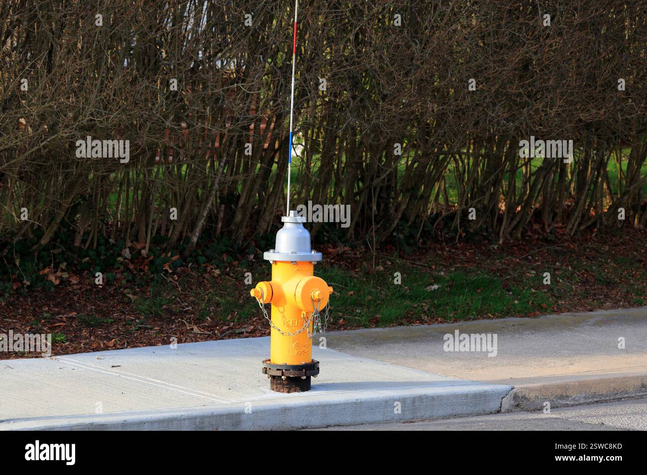Ein gelber Hydrant mit angebrachtem Pol oder Antenne, um ihn zu lokalisieren, wenn er im Schnee vergraben ist, Mystic, Connecticut Stockfoto