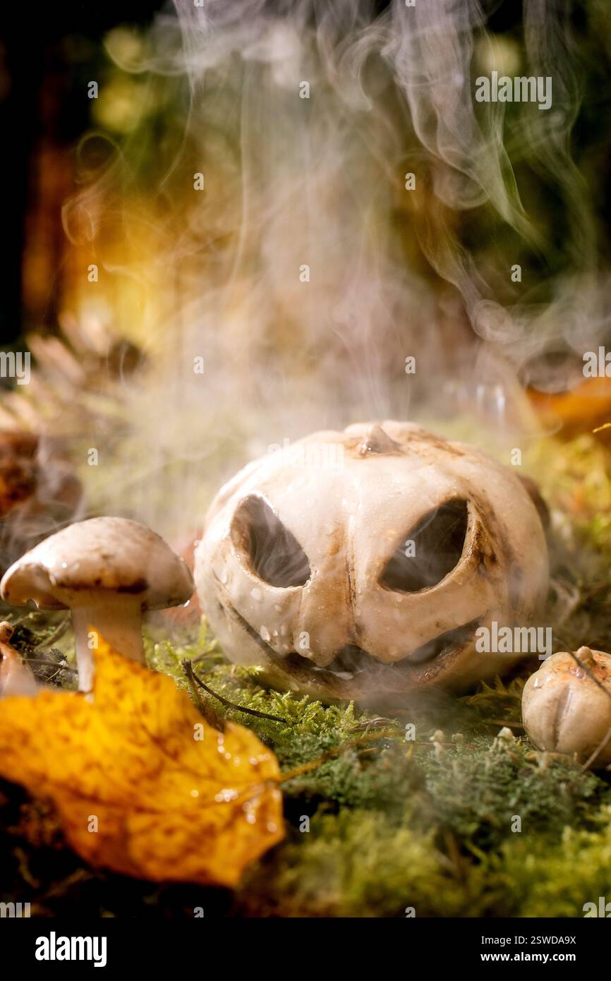 Jack-o-Laterne in märchenhaftem Ambiente, magischem Herbstwald Stockfoto