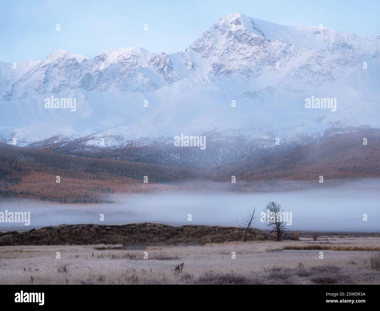 Wunderschöne Naturszene in den Bergen des Frühherbstes. Stockfoto