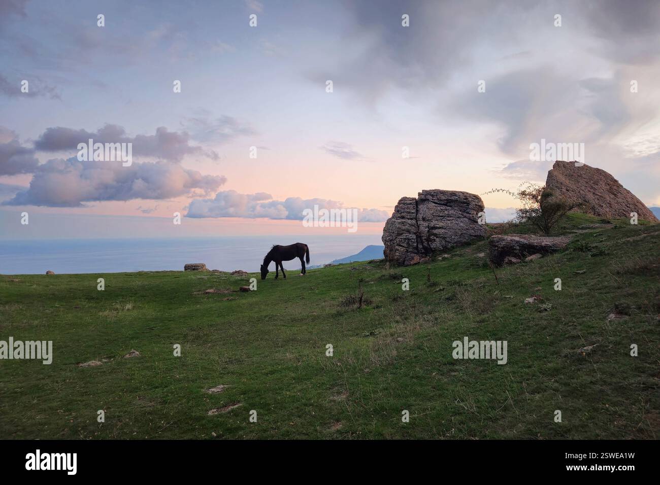 Die Silhouette eines Pferdes in den Bergen der Dämmerung. Stockfoto