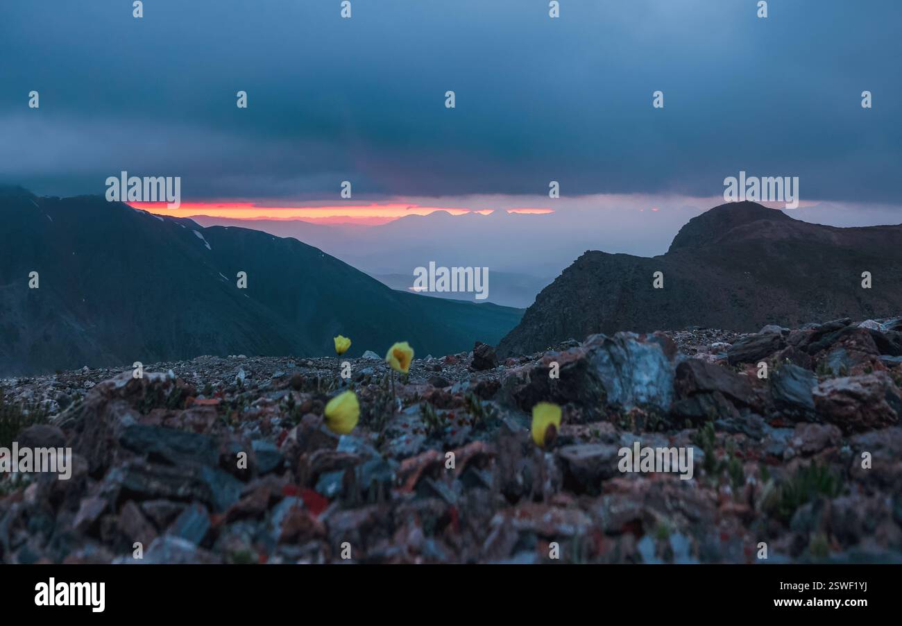Selektiver Fokus. Sonnenaufgang in den Bergen. Farbenfrohe Naturlandschaft mit Sonnenuntergang oder Sonnenaufgang. Stimmungsvolle Landschaft mit Silhouetten Stockfoto