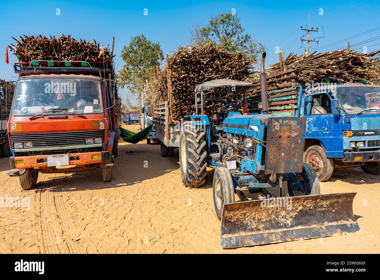 Eine Gruppe von Lkws und ein Traktor, die auf einem sandigen Boden geparkt sind und alle mit großen Mengen Zuckerrohr beladen sind. Die Fahrzeuge sind in einer Reihe angeordnet. Stockfoto