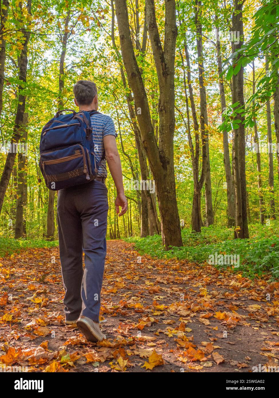 Ein Mann mittleren Alters mit Rucksack läuft im Wald. Stockfoto