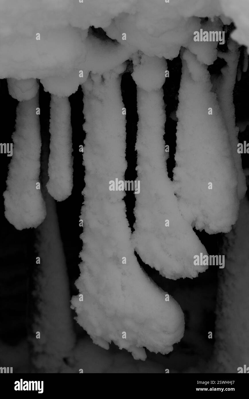 Eiszapfen bedeckt mit Schnee, Orkney-Inseln Stockfoto