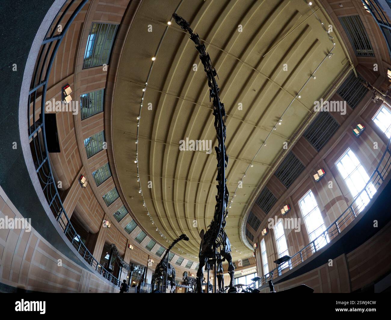 CINCINNATI, USA - 6. SEPTEMBER 2024 - der historische Bahnhof von Cincinnati Art Deco Museum Innenansicht des Naturkundemuseums & Wissenschaftsmuseum Stockfoto