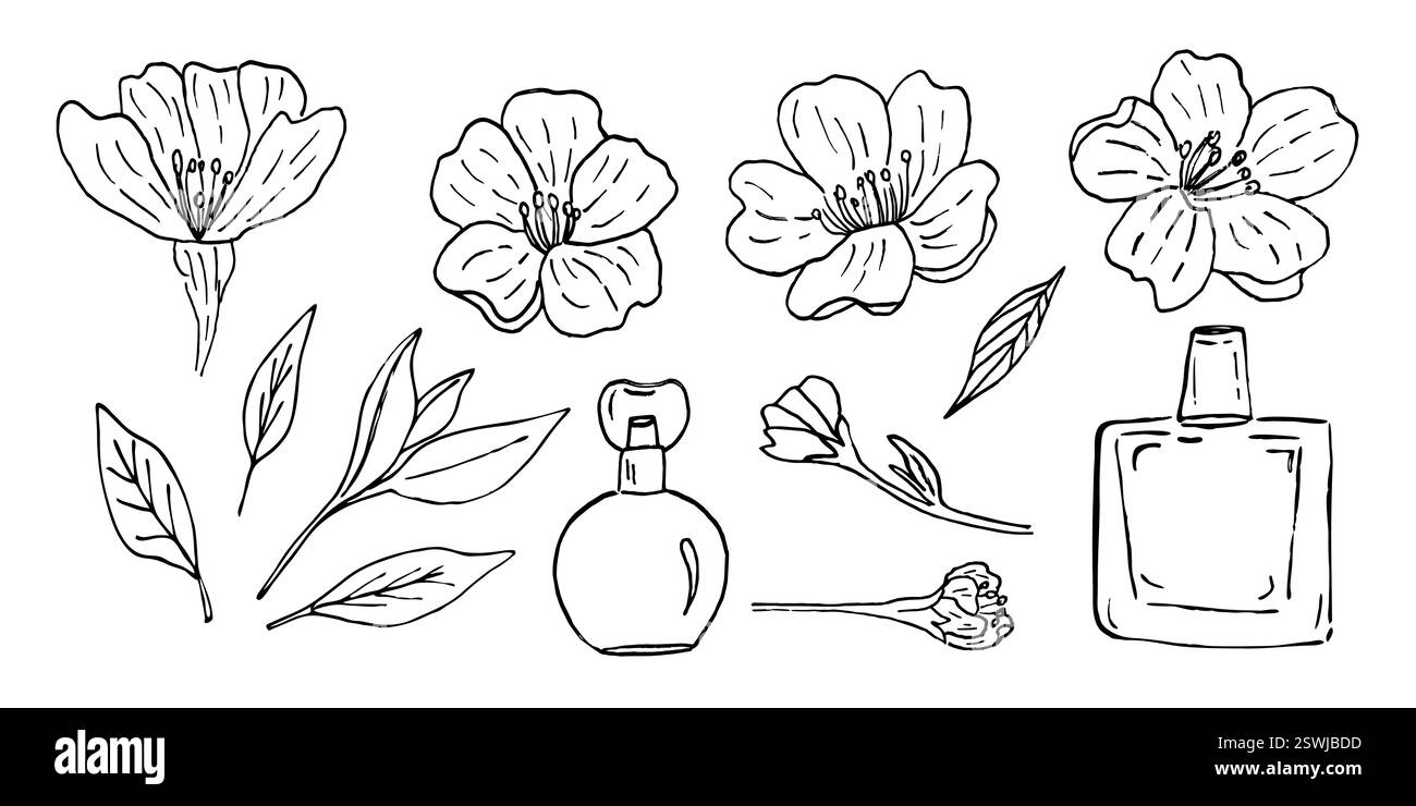 Ein Set aus Kirschblüten und Parfümflaschen, handgefertigt mit einem Liner. Vektor-Illustration eines japanischen blühenden Baumes im Vintage-Stil und duftenden Parfums. Stock Vektor