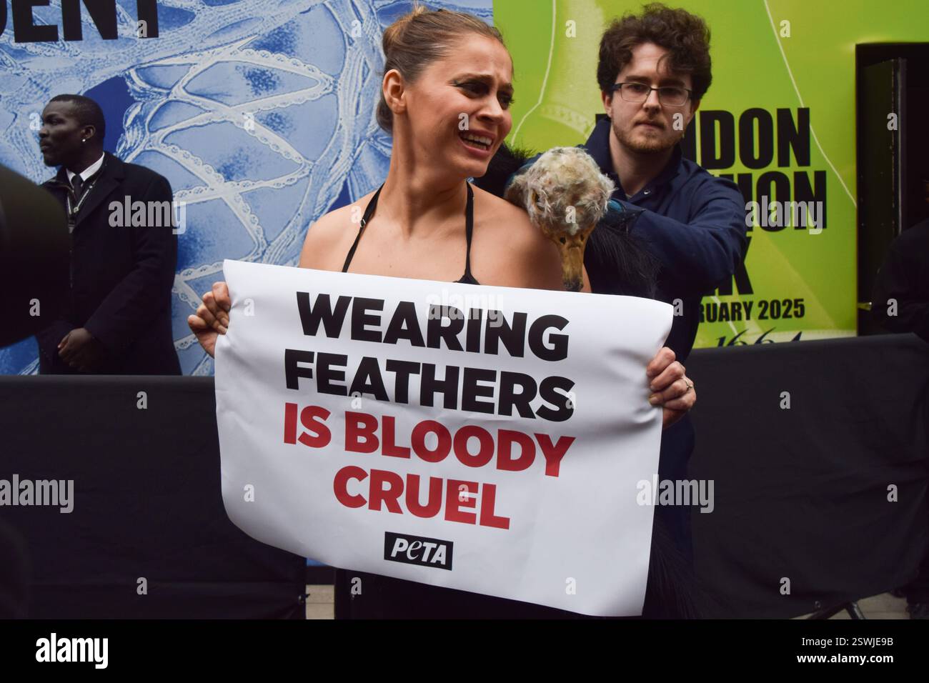 London, Großbritannien. Februar 2025. Eine PETA-Aktivistin, die als Strauß verkleidet ist, lässt ihre Federn vor der London Fashion Week NEWGEN Show Space on the Strand „heftig zupfen“. Die Aktion ist Teil der laufenden PETA-Kampagne gegen den Einsatz von Federn in der Mode. Quelle: Vuk Valcic/Alamy Live News Stockfoto