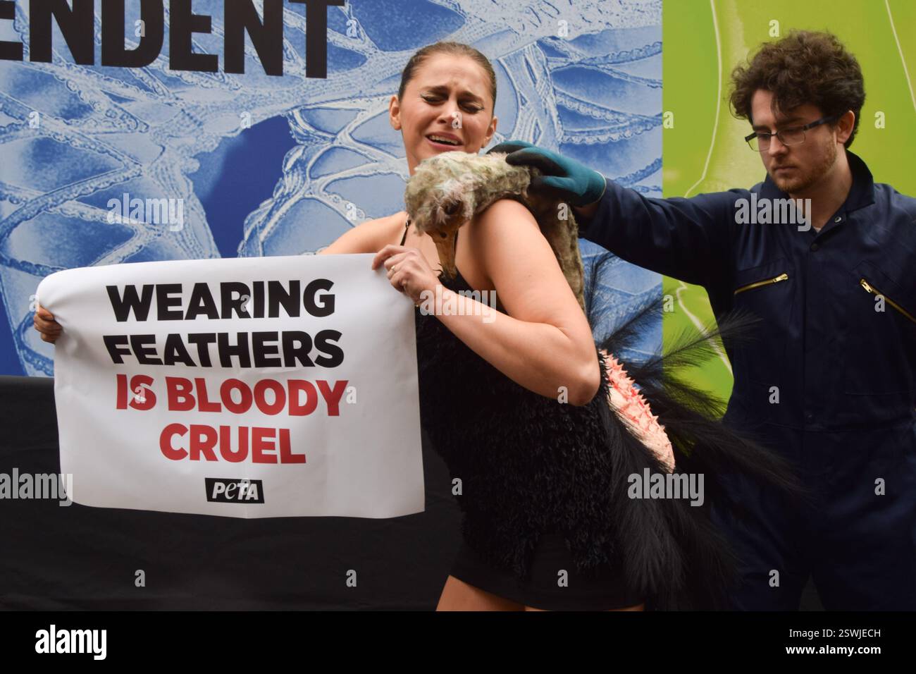 London, Großbritannien. Februar 2025. Eine PETA-Aktivistin, die als Strauß verkleidet ist, lässt ihre Federn vor der London Fashion Week NEWGEN Show Space on the Strand „heftig zupfen“. Die Aktion ist Teil der laufenden PETA-Kampagne gegen den Einsatz von Federn in der Mode. Quelle: Vuk Valcic/Alamy Live News Stockfoto
