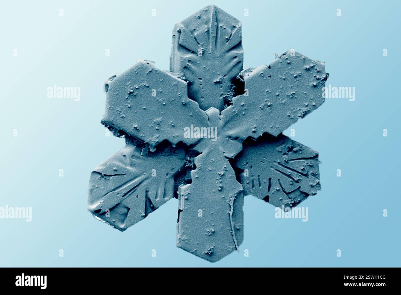 Sechseckiger Schneekristall mit breiten Ästen, bestehend aus 2 versetzten 3-verzweigten Schneekristallen. Das Bild wurde mit einem Niedertemperatur-Rasterelektronenmikroskop (LT-REM) aufgenommen. Stockfoto