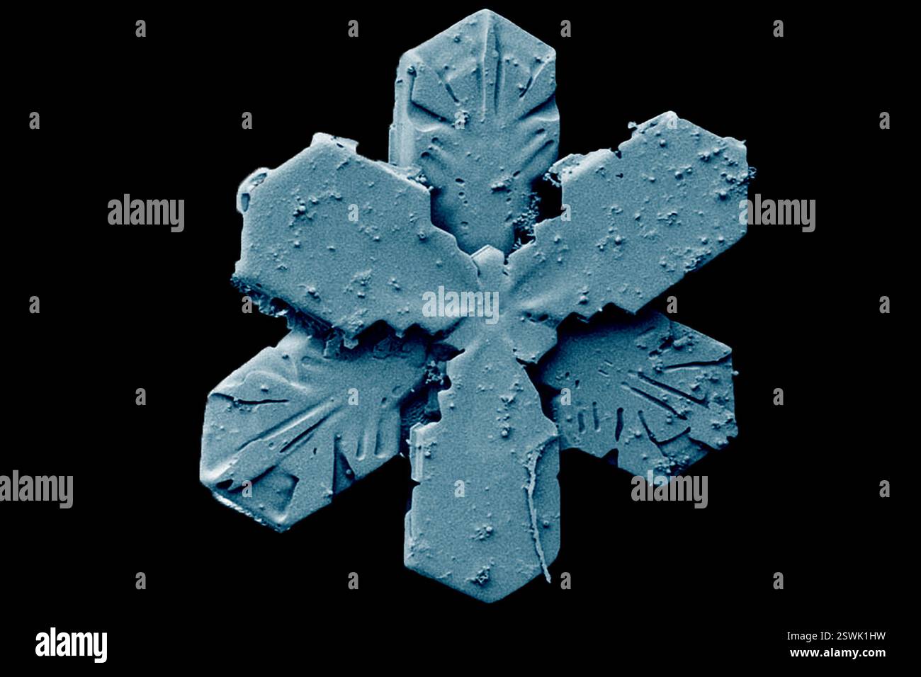 Sechseckiger Schneekristall mit breiten Ästen, bestehend aus 2 versetzten 3-verzweigten Schneekristallen. Das Bild wurde mit einem Niedertemperatur-Rasterelektronenmikroskop (LT-REM) aufgenommen. Stockfoto