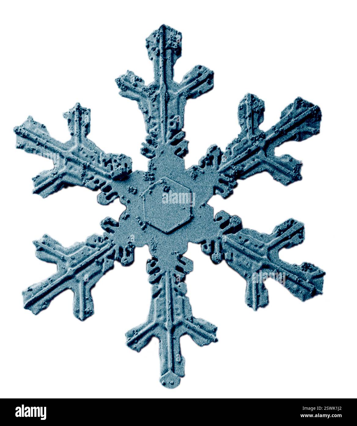 Typische sechseckige Schneeflocke. Das Bild wurde mit einem Niedertemperatur-Rasterelektronenmikroskop (LT-REM) aufgenommen. Stockfoto