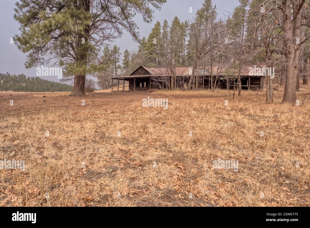 Das historische T-Bar Ranch Homestead, heute verlassen. Das Land gehört dem Coconino National Forest und ist öffentliches Eigentum. Es ist keine Freigabe erforderlich. Stockfoto