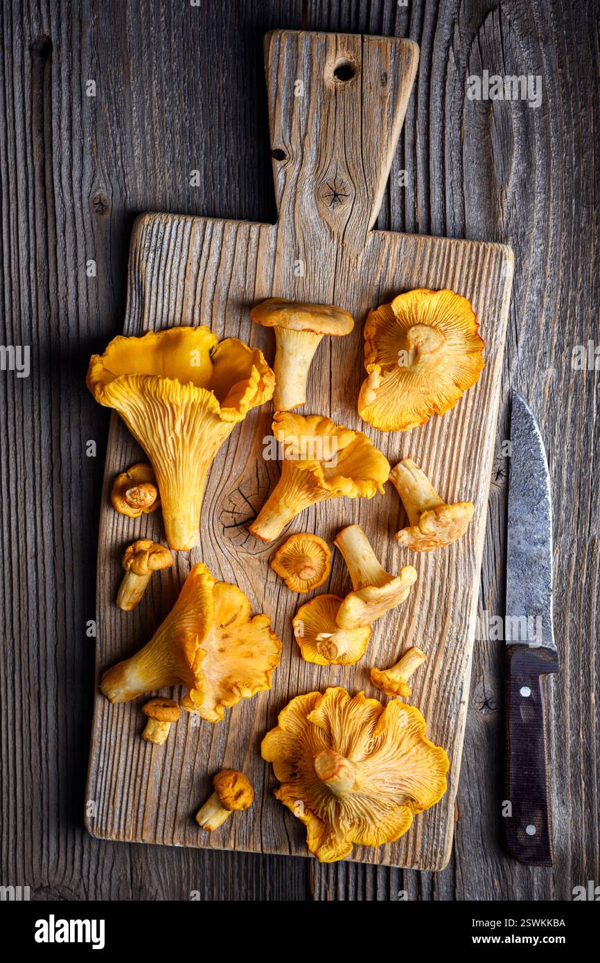 Pfifferling Pilze mit Messer auf einem hölzernen Schneidebrett auf einem rustikalen Tisch Nahaufnahme. Lebensmittelfotografie Stockfoto