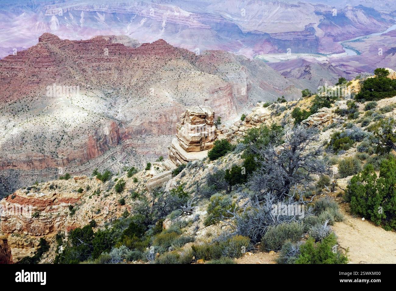 Farbenfroher Grand Canyon Mountain Stockfoto