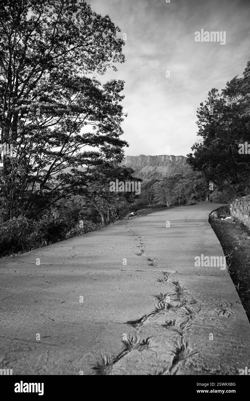 Ein Schwarzweiß-Bild eines konkreten Weges entlang der ersten Etappe des Pekoe-Weges in Sri Lanka. Stockfoto