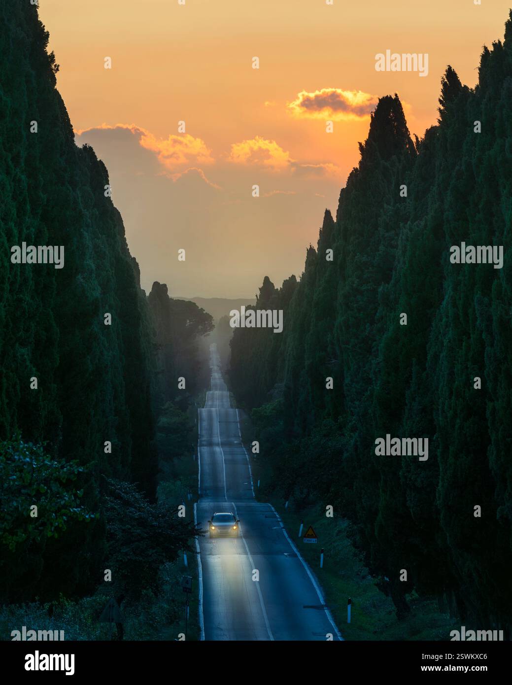 Auto mit Scheinwerfern in der Abenddämmerung auf der berühmten Zypressenallee von Bolgheri, auch bekannt als Viale di Bolgheri. Castagneto Carducci, Provinz Livorno, Tu Stockfoto