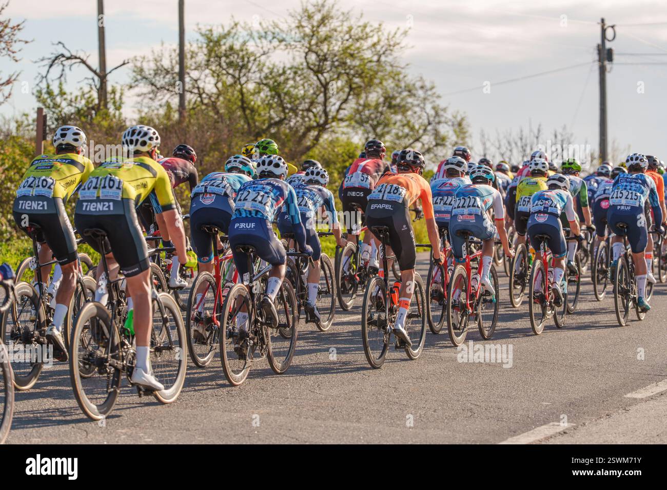 Tavira, Portugal, 21. Februar 2025.Radfahrer sind in einem Feldrennen auf einer kurvenreichen Straße eng gepackt. Die Volta ao Algarve, Rennradrennen. Stufe 3, Stockfoto