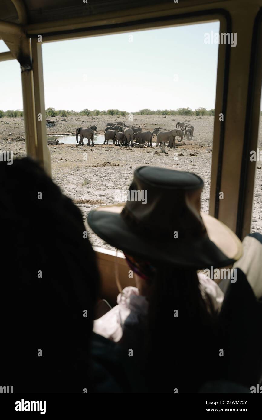 Menschen, die im Safariwagen in der Nähe des Wasserlochs sitzen und eine Gruppe von Elefanten beobachten, die in der Savanne in der namibischen Etosha baden und Wasser trinken Stockfoto