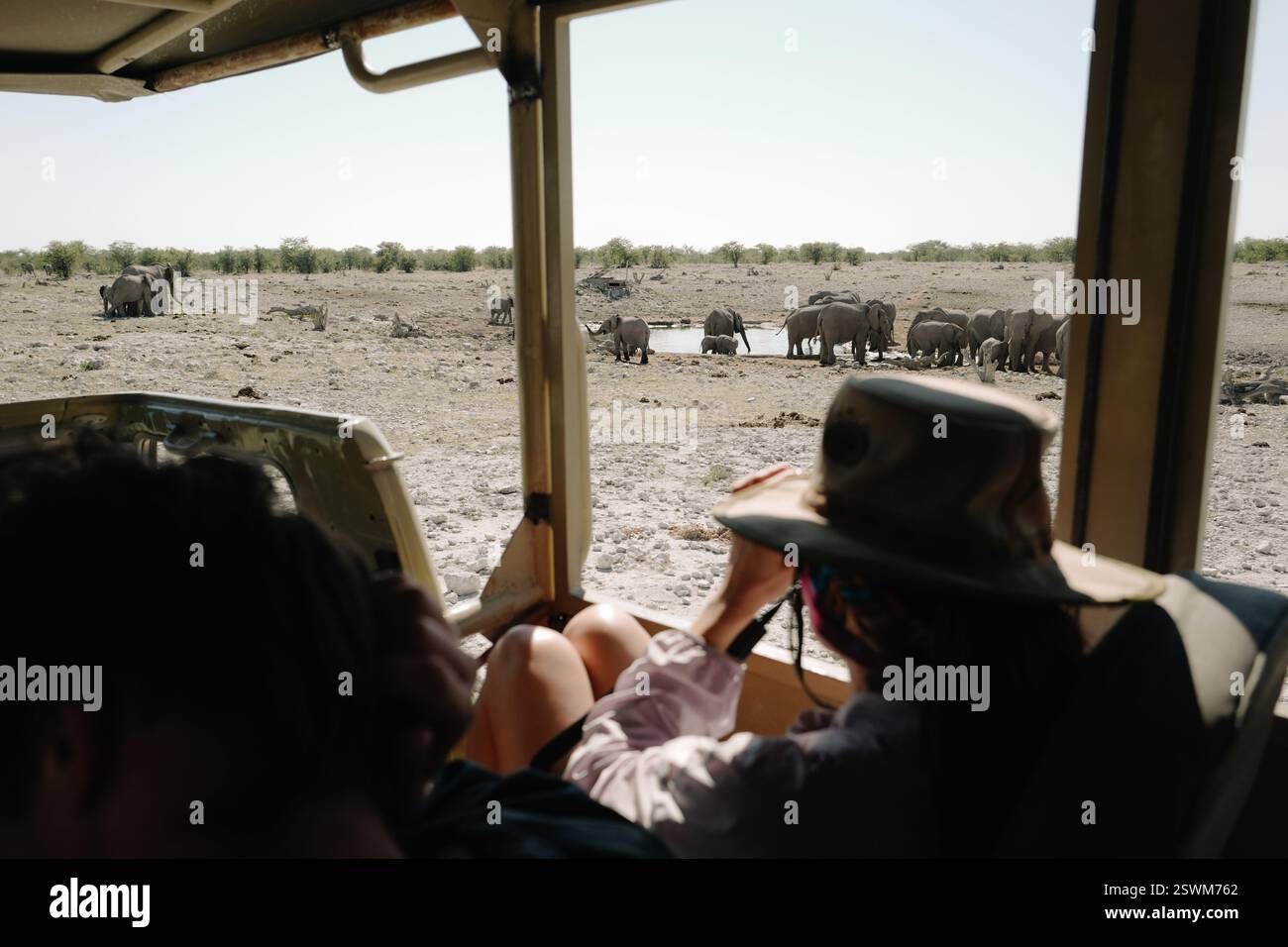 Menschen, die im Safariwagen in der Nähe des Wasserlochs sitzen und eine Gruppe von Elefanten beobachten, die in der Savanne in der namibischen Etosha baden und Wasser trinken Stockfoto