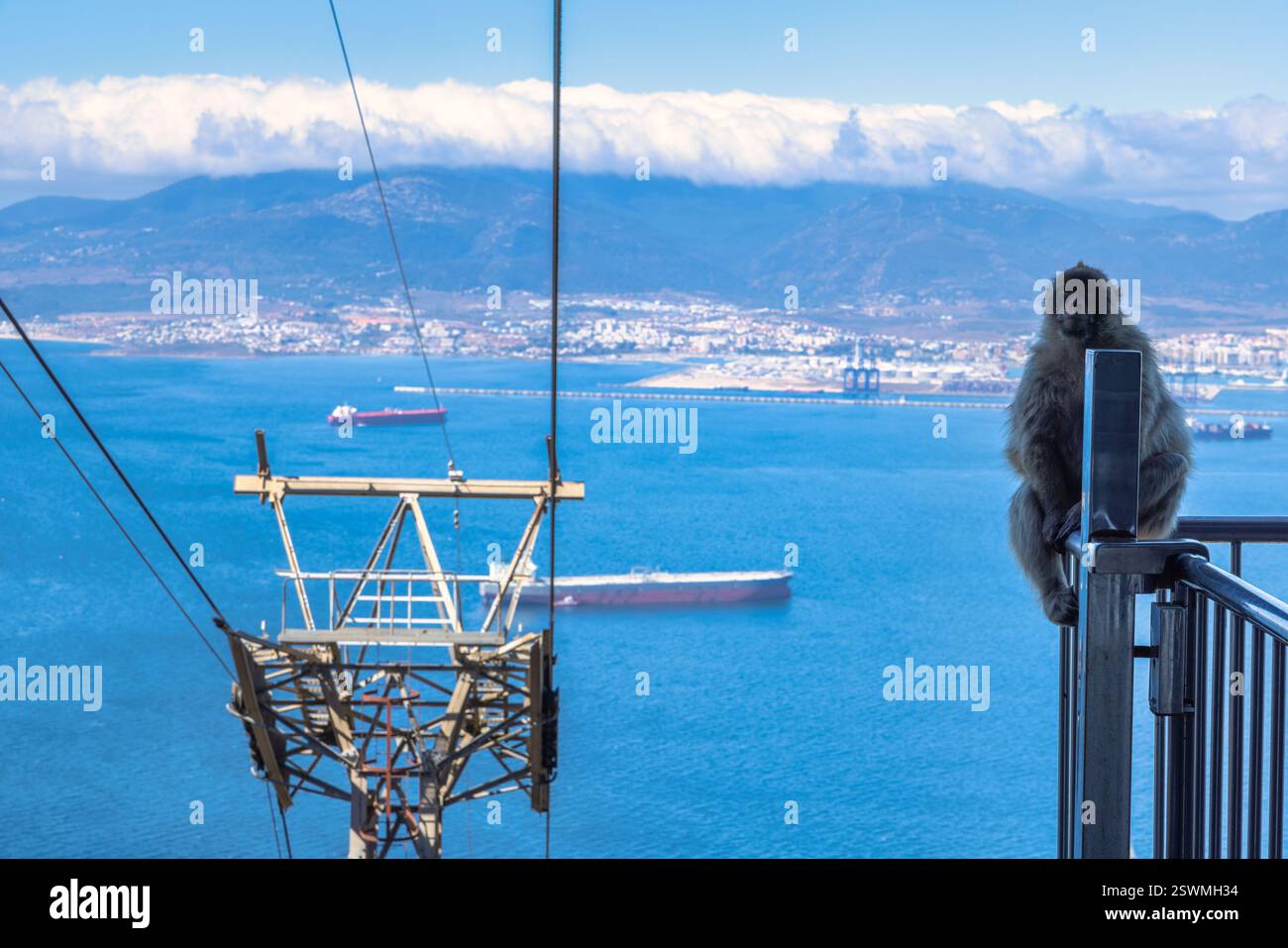 Affe auf Gibraltar, britisches Überseegebiet und Stadt auf der Iberischen Halbinsel. Ein berberaffen sitzt auf einem Seilbahngeländer mit Blick auf die Küste Stockfoto