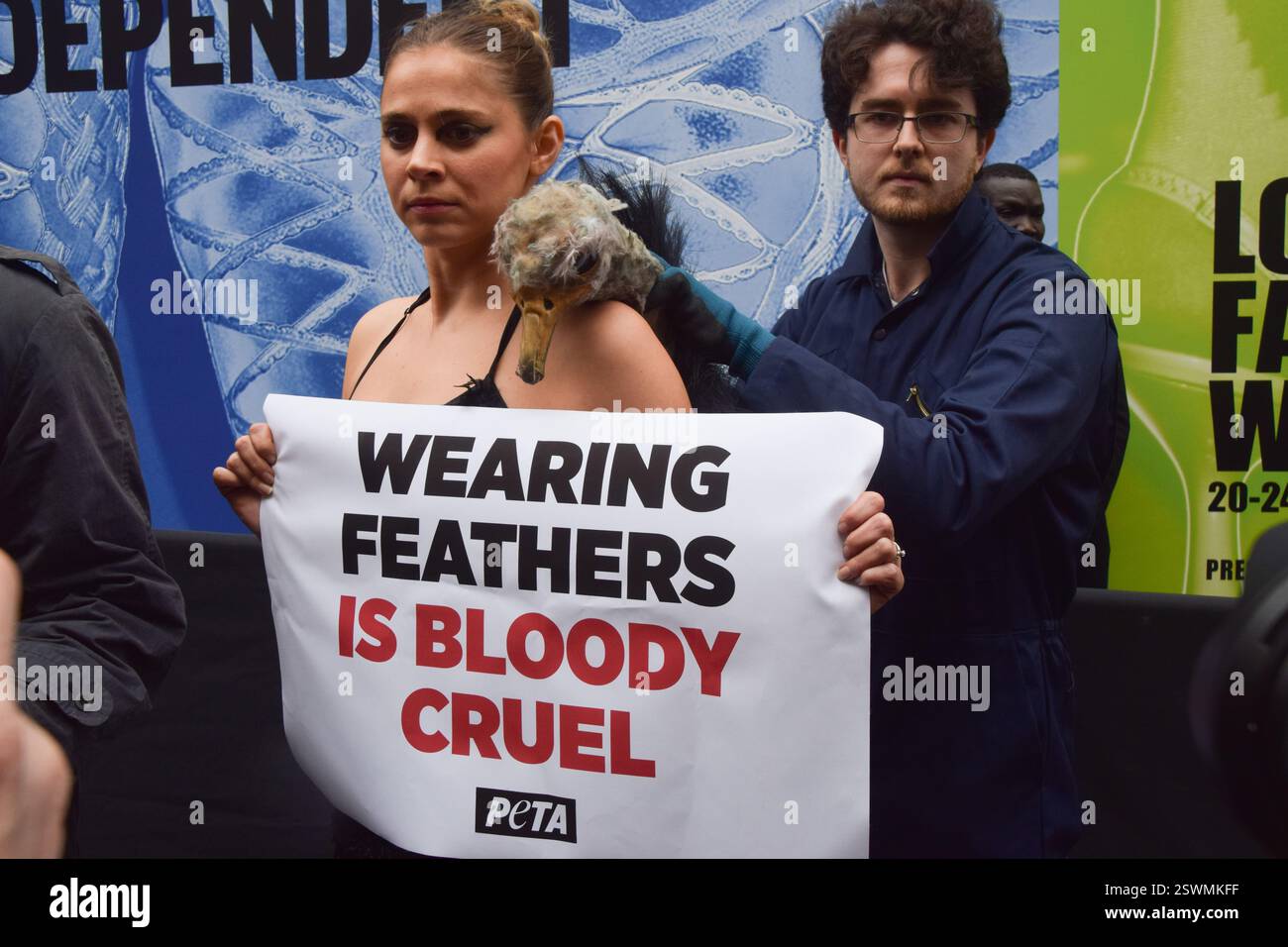 London, Großbritannien. Februar 2025. Eine PETA-Aktivistin, die als Strauß verkleidet ist, lässt ihre Federn vor der London Fashion Week NEWGEN Show Space on the Strand „heftig zupfen“. Die Aktion ist Teil der laufenden PETA-Kampagne gegen den Einsatz von Federn in der Mode. Quelle: Vuk Valcic/Alamy Live News Stockfoto