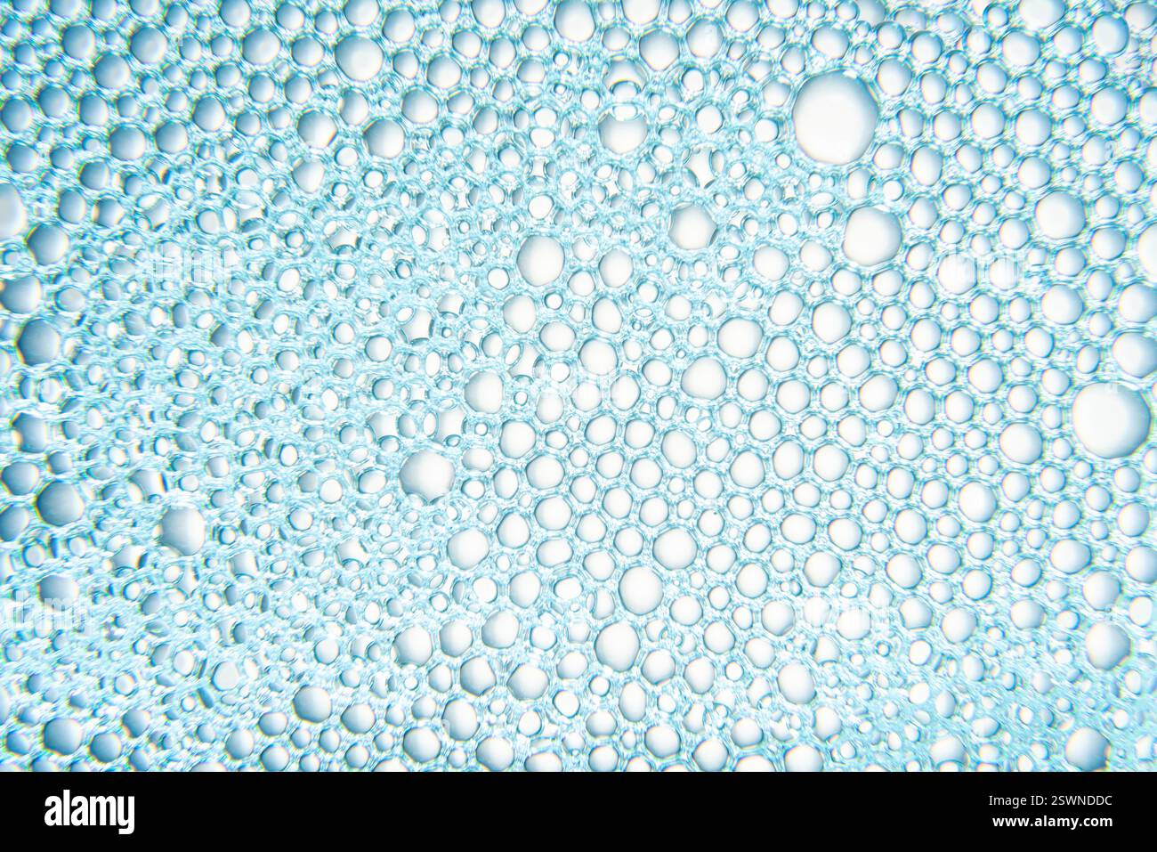 Textur von Seifenblasen mit blauem Licht auf weißem Hintergrund Stockfoto