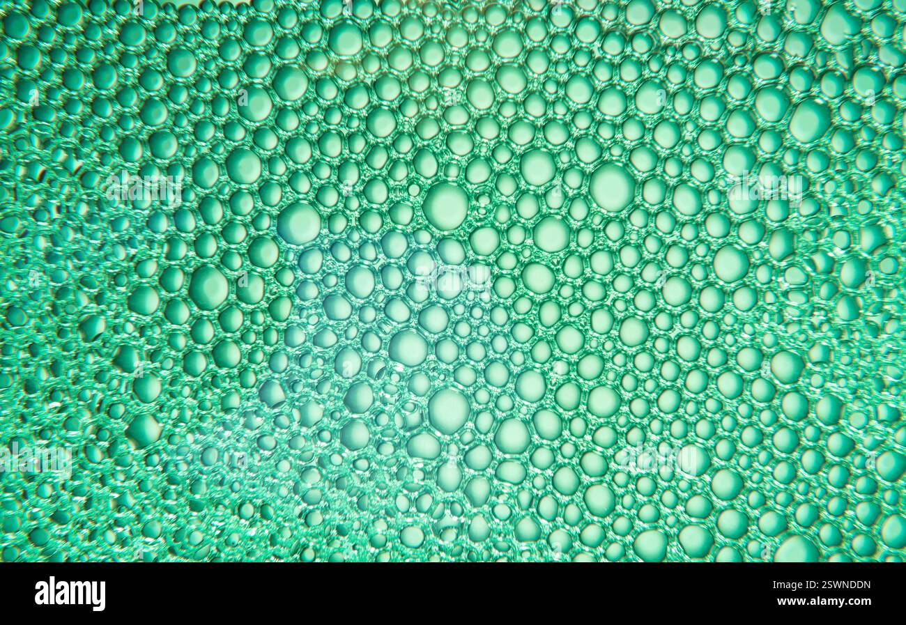 Textur von Seifenblasen und Wasser mit grünem Licht auf weißem Hintergrund Stockfoto