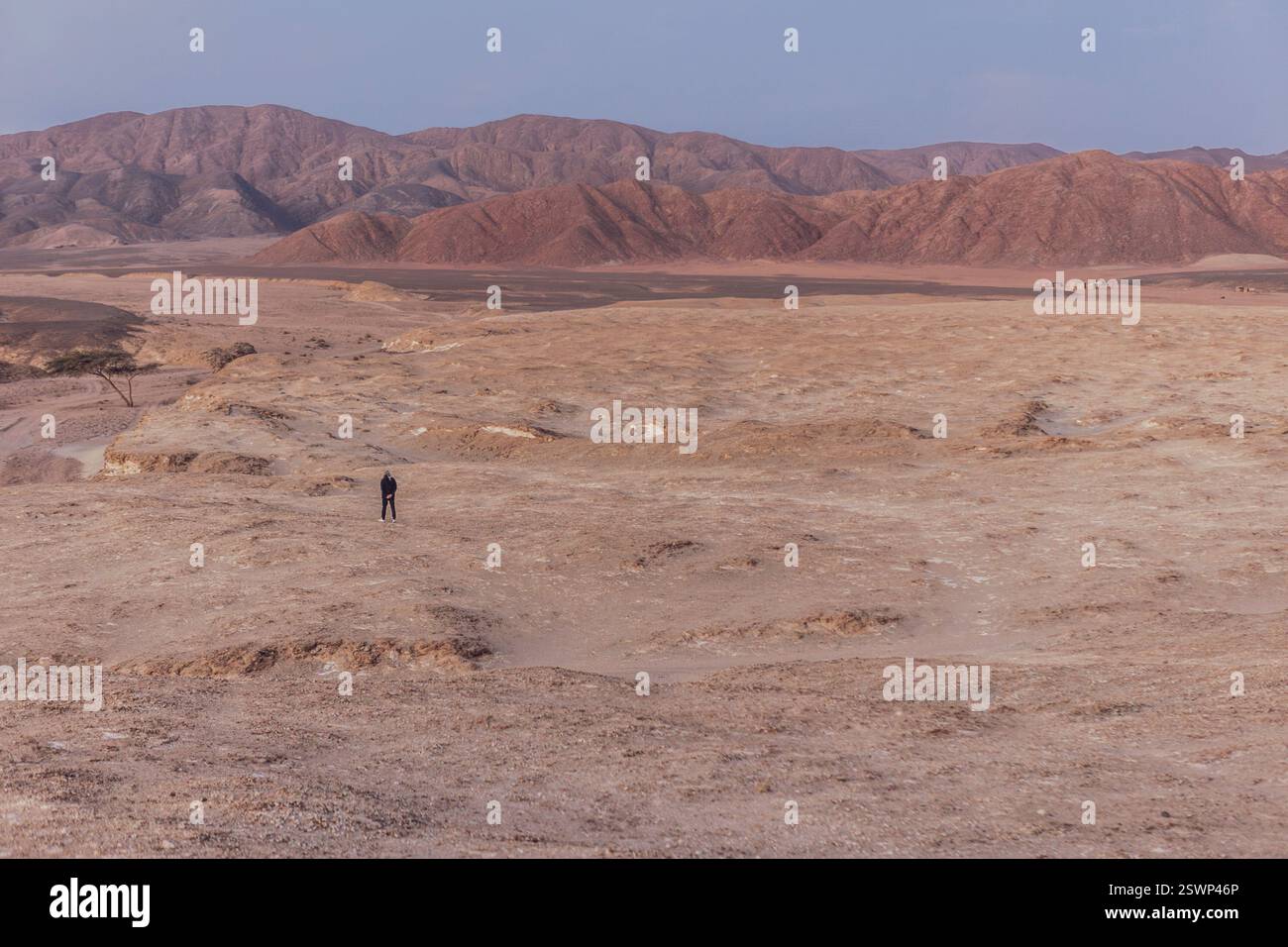 Geologe spazieren durch die Wüste marsa alam während einer geologischen Untersuchung, umgeben von Bergen und trockener Landschaft Stockfoto