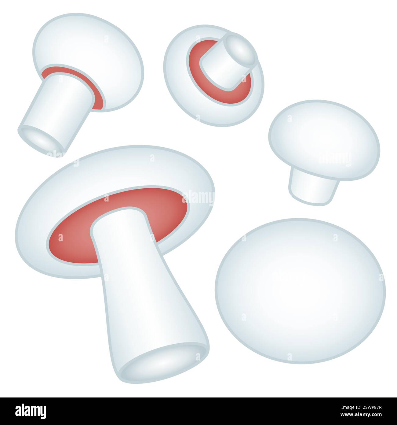 Illustration einer Reihe Champignonpilze Stock Vektor