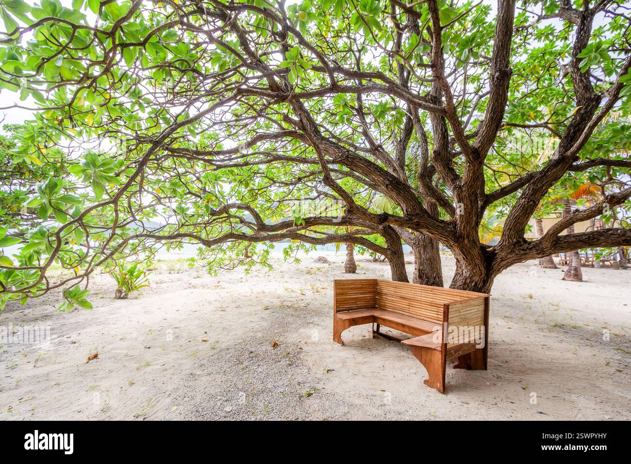 In einem strandkorb faulenzen -Fotos und -Bildmaterial in hoher Auflsung   Alamy