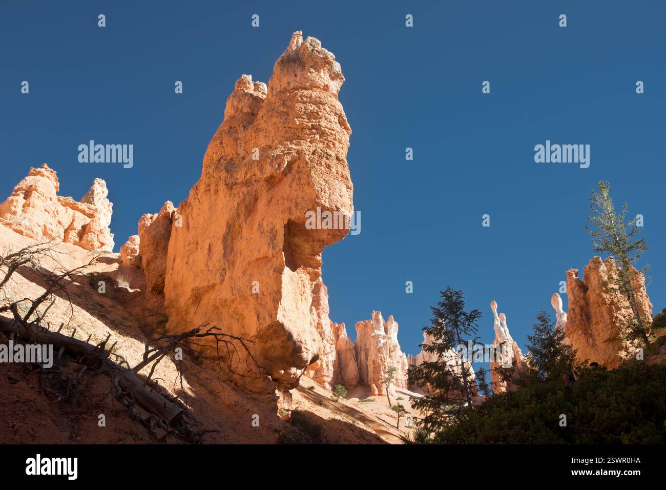 Blick vom Peek-a-Boo Trail Stockfoto
