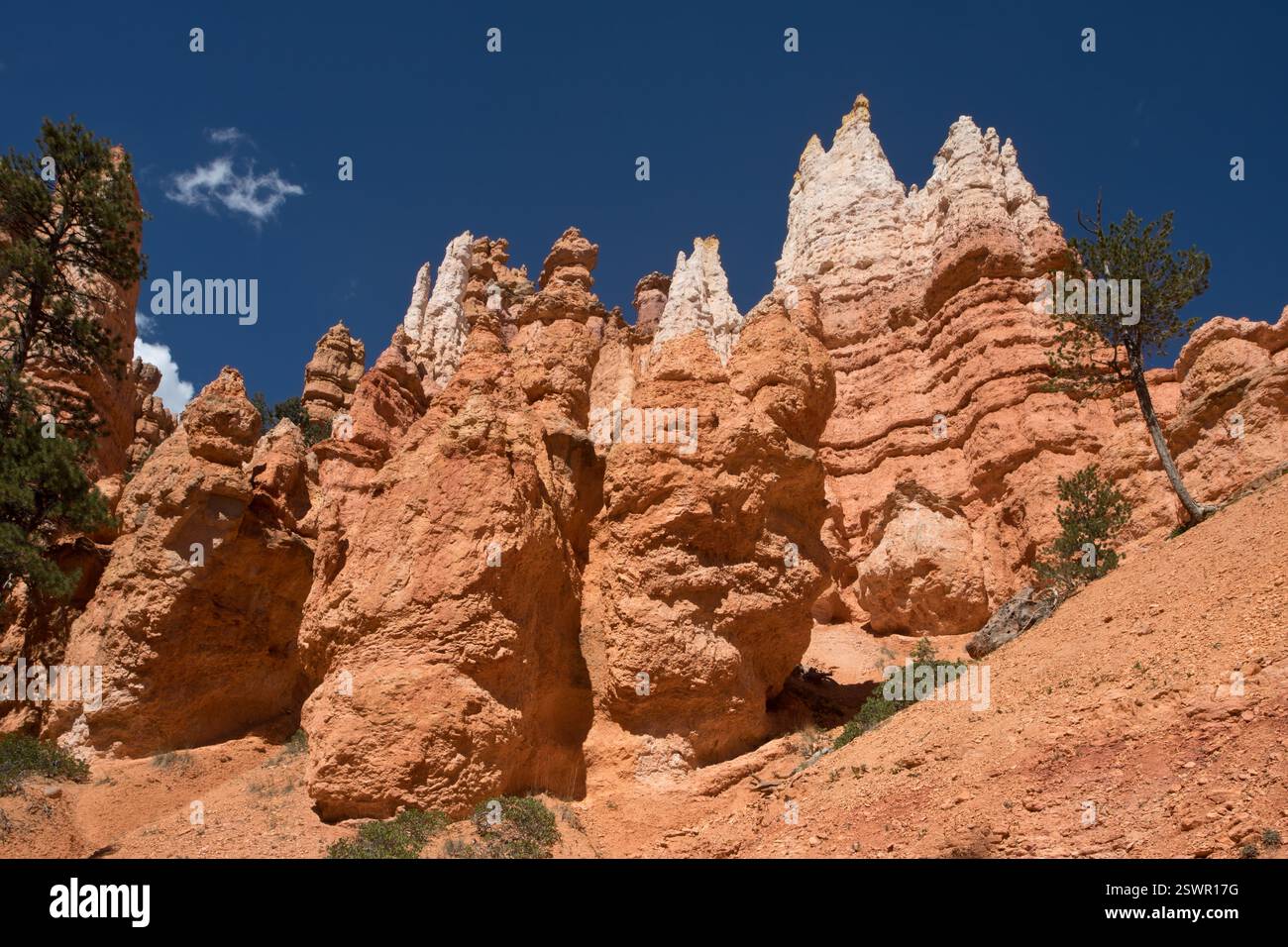 Blick von Navajo und Queens Garden Trails Stockfoto