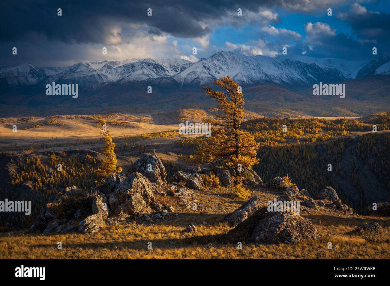 Atemberaubende Landschaft mit goldenen Bäumen, dramatischen Bergen und lebhaften Herbstfarben unter dynamischer Beleuchtung. Stockfoto